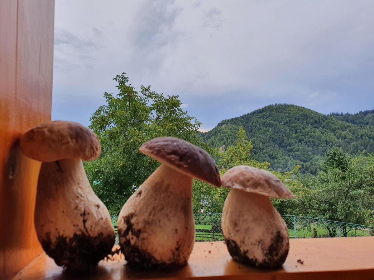Садиба Кичера Petrashi Exterior foto