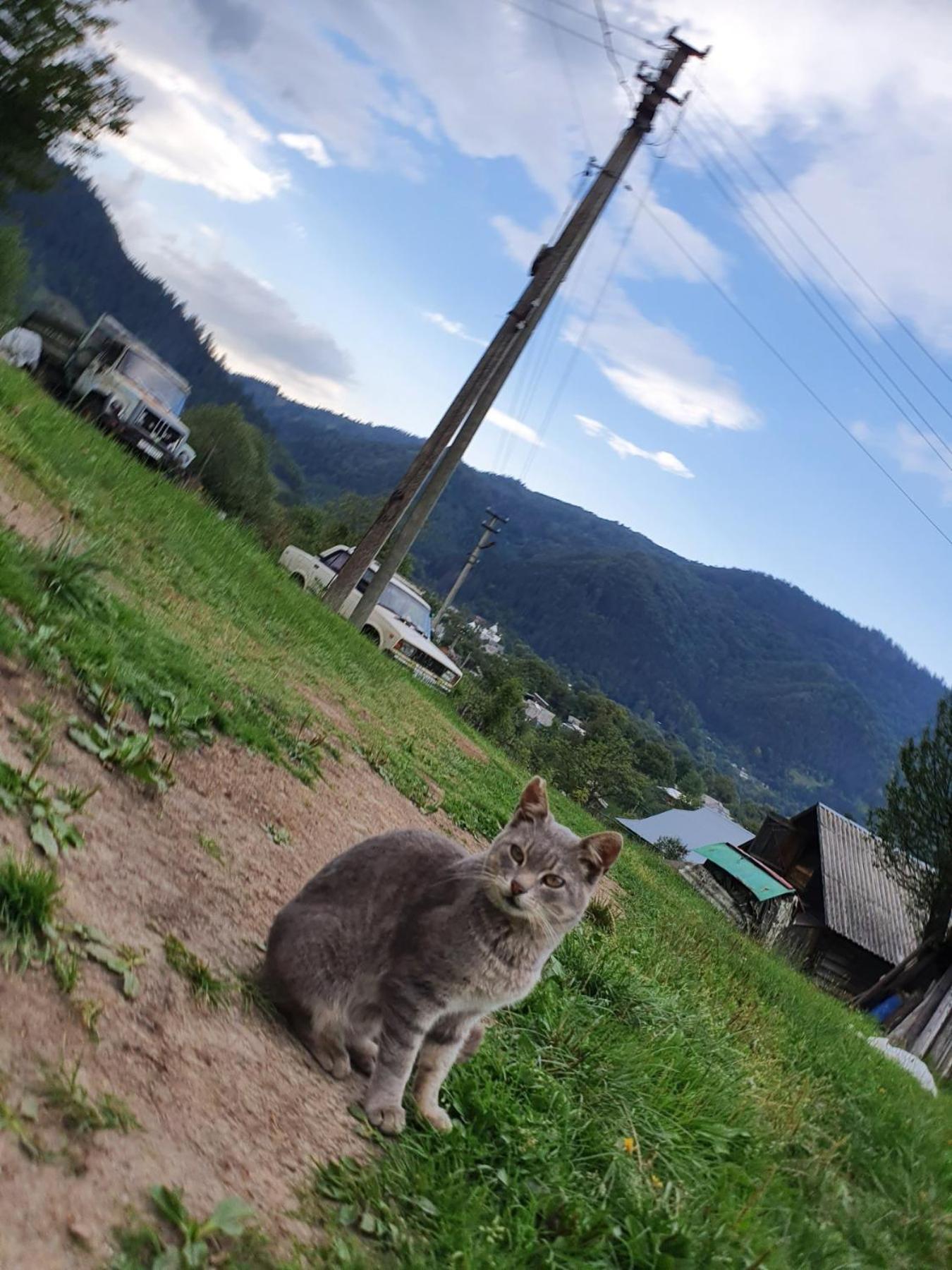 Садиба Кичера Petrashi Quarto foto
